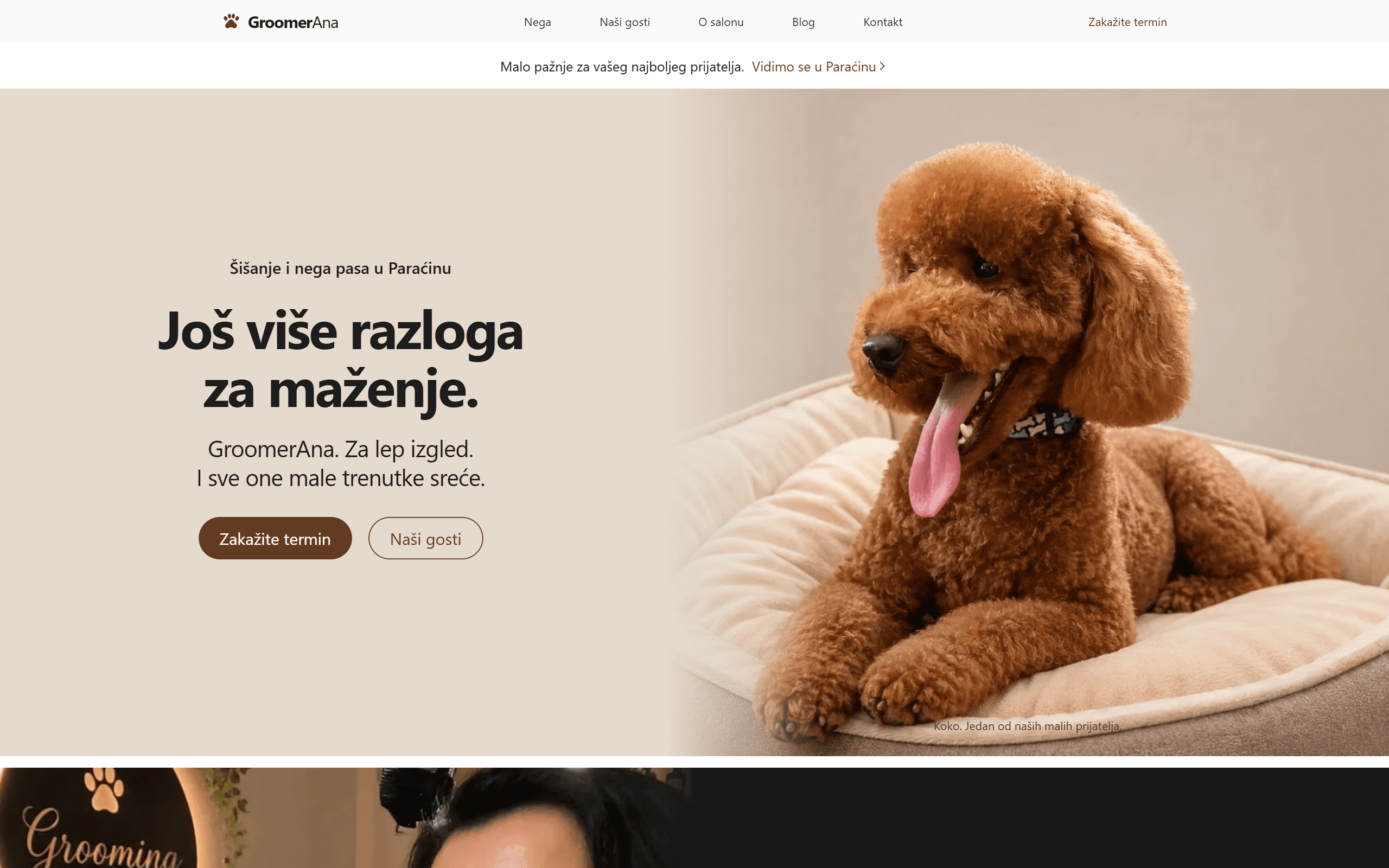 Objavljena web stranica GroomerAna: šišanje i njega pasa u Paraćinu, topla smeđa paleta i stvarna fotografija pudle Koko